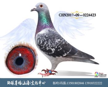 CHN2017090224423