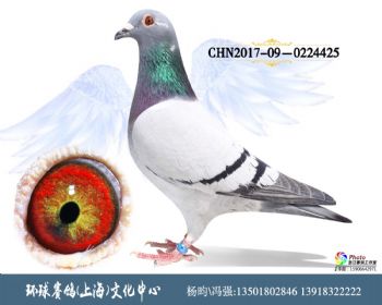CHN2017090224425