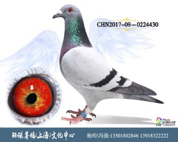 CHN2017090224430
