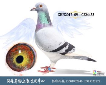 CHN2017090224433