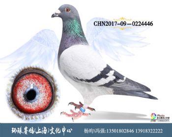 CHN2017090224446