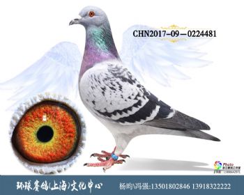 CHN2017090224481