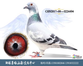 CHN2017090224494