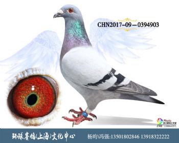 CHN2017090394903