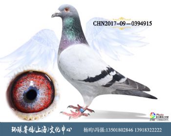 CHN2017090394915