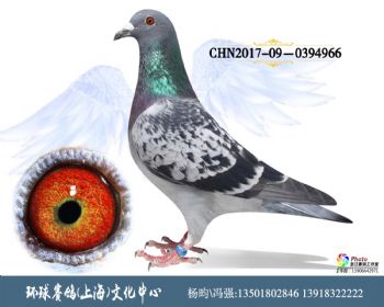 CHN2017090394966