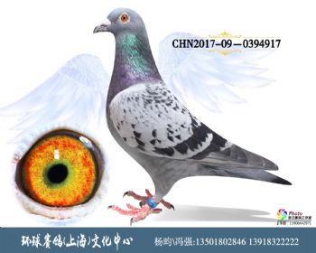 CHN2017090394917
