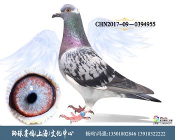 CHN2017090394955