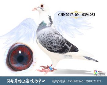 CHN2017090394963