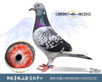 CHN2017090012312