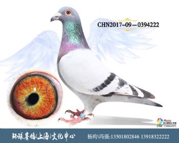 CHN2017090394222