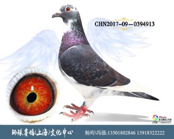 CHN2017090394913