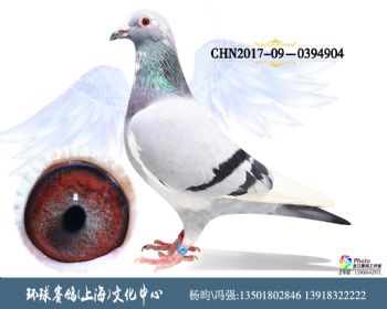 CHN2017090394904