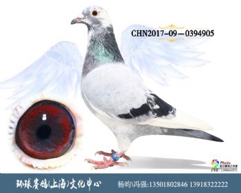 CHN2017090394905
