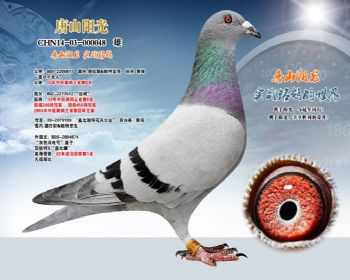 盖比小龙人之子