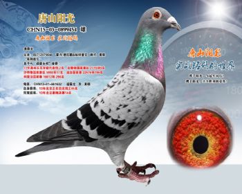 出自奥林匹克亚军父亲