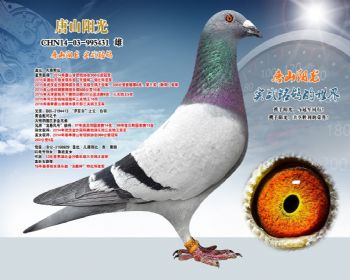 盖比·凡得那比