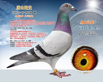 利皮佛.瓦特*卡普176名