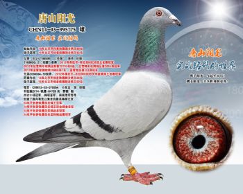“亮眼”*罗纳尔多之孙女
