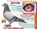鿴ƷͼƬ