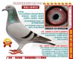 鿴ƷͼƬ