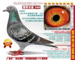 鿴ƷͼƬ