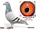 鿴ƷͼƬ