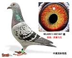 鿴ƷͼƬ