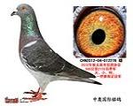 鿴ƷͼƬ