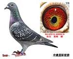 鿴ƷͼƬ