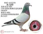 鿴ƷͼƬ