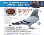 鿴ƷͼƬ