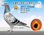 鿴ƷͼƬ