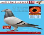 鿴ƷͼƬ
