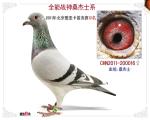 鿴ƷͼƬ