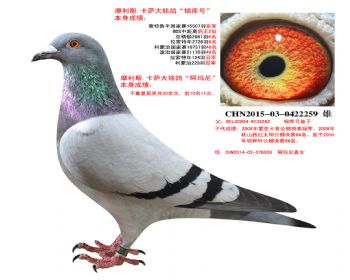   ֱXֱŮ