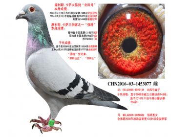   ֱXǿֱŮ