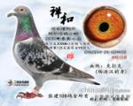 鿴ƷͼƬ