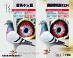 鿴ƷͼƬ