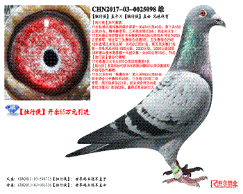 ֱӡֱŮ 
