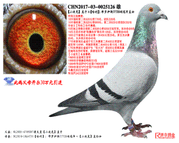 СϿˡֱӡ˹37728ھֱŮ