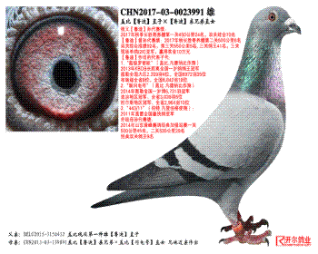 Ǳȡ³ϡֱӡ³ϡֱֵŮ