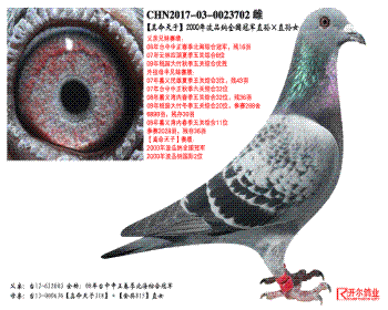 ӡ2000겨ƷȫھֱֱŮ