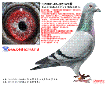 ³ϡֱֵӡǱȡ罫ֱŮ
