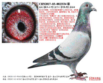 ǱȡعСӡֱӡšֱŮ
