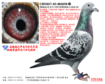 սʿֱӡ15ٸ԰˱ۺ15
