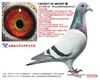 ԡ09겨64226ȫܹھֱ