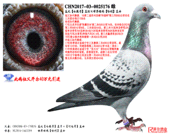 Ǳȡ׸šֱ롾ֱŮ