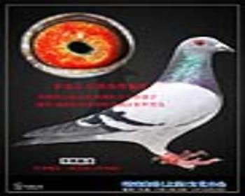 ѳ齱루лл