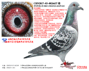 2016ˮۺϸܹھȫ
